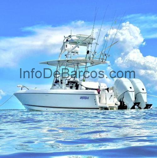 Intrepid 300 Center Console ficha técnica y opiniones
